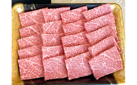 訳あり 京都産黒毛和牛 特選 A5ランク 焼肉 用 500g(通常450g+50g) 京の肉 ひら山 厳選｜生活応援 和牛 牛肉 京都肉 国産 丹波産 冷凍