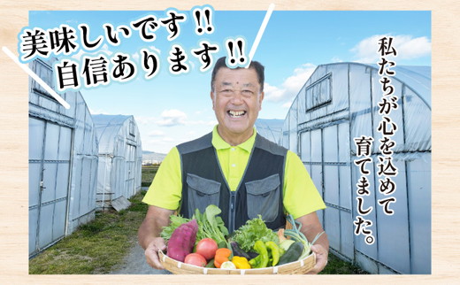 野菜 定期便 直送 12回 朝採れ 7～10品目 京都丹波 亀岡 佐伯の里 訳あり生活応援 家計応援 ※北海道・沖縄・離島への配送不可