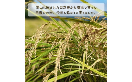 【令和6年産先行予約】米 定期便 10kg×2ヶ月 20kg コシヒカリ 佐伯の里の源流米 希少 農家直送 令和6年産 新米 白米 10キロ 2回 低農薬米 減農薬米 京都丹波産 こしひかり 家計応援 生活応援 ※北海道・沖縄・離島配送不可 ※2024年10月以降発送予定