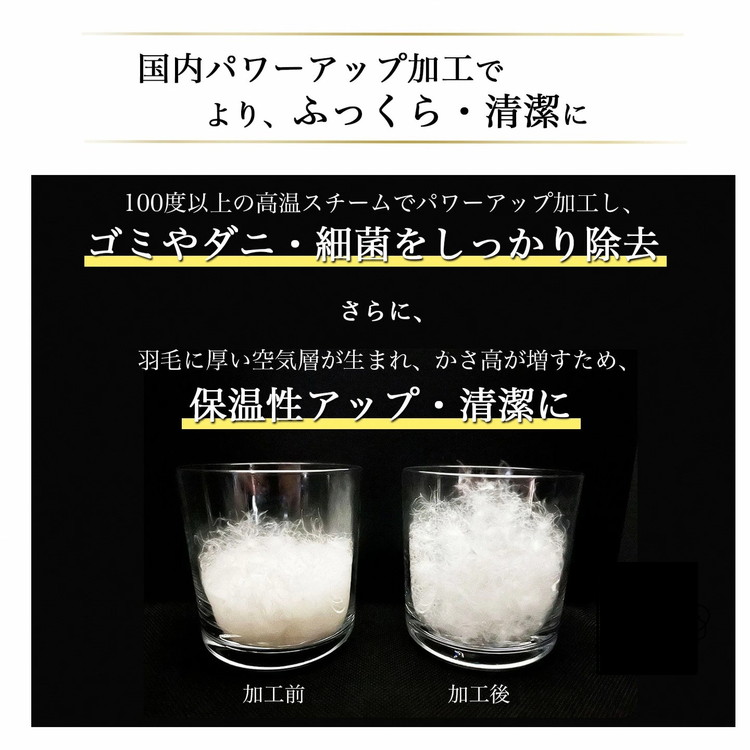 【訳あり】＜京都金桝＞色柄お任せ 羽毛布団 掛け布団 ホワイトダウン85％『本掛け シングル』 DP350 京都亀岡産 日本製◇ ｜ 国産 寝具 布団 新生活 夏 夏用 洗える ダウンケット 冬 冬用 秋冬用 ふるさと納税訳あり