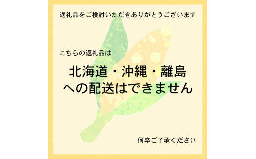 【2回定期便】キヌヒカリ5kg＆朝採れ とうもろこし 5kg スイートコーン ドルチェドリーム 甘い 早朝収穫〈アグリにのうみ〉京都 亀岡 米 農家直送 2024年産 ※北海道・沖縄・離島への配送不可 ※夏と秋の2回お届け