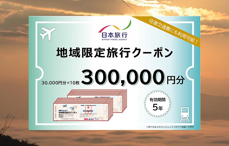 【有効期限は発行日から5年間】京都府亀岡市 日本旅行 地域限定旅行クーポン300,000円分 交通費利用可 旅行 トラベル 旅行券 宿泊券 予約 チケット ホテル 観光 おすすめ