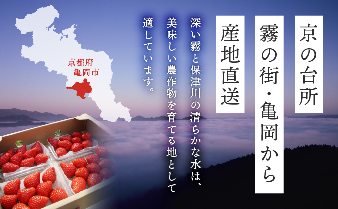 京都亀岡産 雫の里農園 いちご【女峰】4パック ※化学肥料・農薬極力不使用≪苺 イチゴ フルーツ≫ ※6月まで順次発送