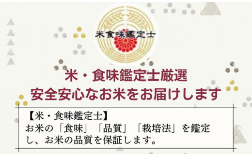 【7日以内発送】京都丹波産 米 食べ比べセット◇【京都丹波産 こしひかり きぬひかり 各5kg 計10kg】※米食味鑑定士厳選 ※精米したてをお届け【京都伏見のお米問屋が精米】食べくらべ ※沖縄本島・離島への配送不可