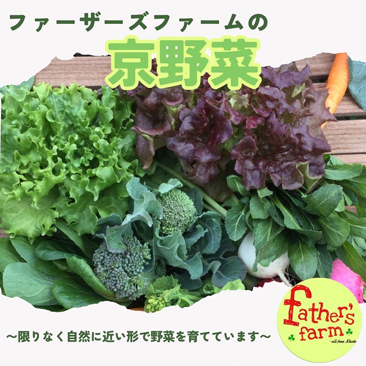 旬のこだわり 京野菜 セット 6〜10種類＜ファーザーズファーム＞栽培期間中農薬不使用｜野菜 野菜詰め合わせ 野菜セット 京野菜 旬の野菜 新鮮野菜 ※北海道・沖縄・離島への配送不可