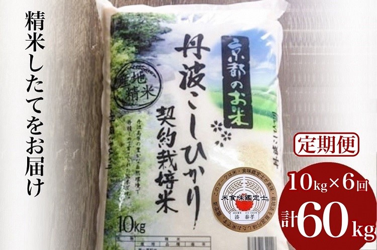 【9月より新米】【定期便】米 京都丹波米 こしひかり10kg×6回 計60kg◇◆◇ 米 6ヶ月 白米 6回定期便 ※精米したてをお届け コシヒカリ ※毎月1回又は2カ月に1回