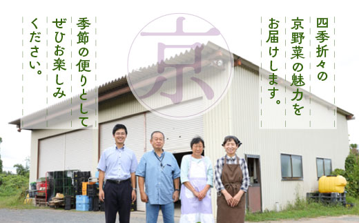 【12回定期便】旬の京野菜 毎月お届けスペシャルコース（全12回）＆『葉酸たまご』10個入り×1パック×3回分付き《野菜定期便 野菜詰め合わせ 野菜セット 京野菜 旬の野菜 新鮮野菜 卵》