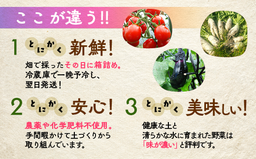 【12回定期便】＜アスカ有機農園＞旬の京野菜セットL（平飼い卵付）＊毎月お届け全12回《野菜定期便 野菜詰め合わせ 野菜セット 京野菜 旬の野菜 新鮮野菜 有機野菜 無農薬野菜 卵》