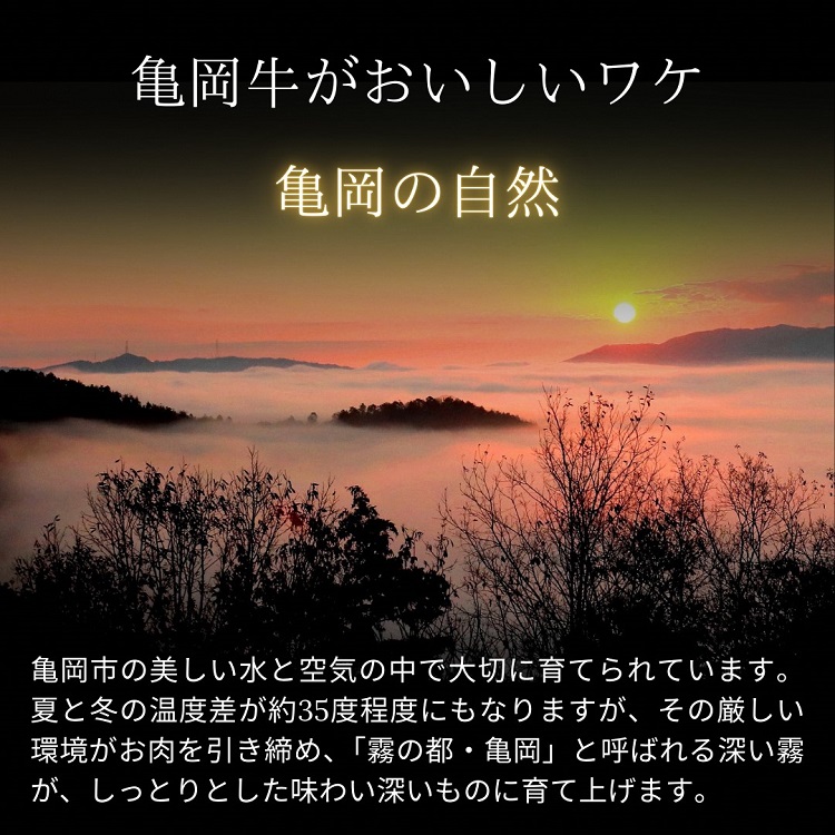 「亀岡牛」サーロインステーキ　2枚（400ｇ） ☆祝！亀岡牛 2023年最優秀賞（農林水産大臣賞）受賞≪京都 丹波 冷蔵便 牛肉≫ ※北海道・沖縄・離島への配送不可