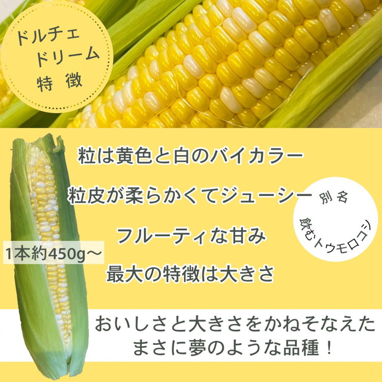 朝採れ とうもろこし 5kg スイートコーン ドルチェドリーム 甘い 早朝収穫〈アグリにのうみ〉京都 亀岡 農家直送 2024年産 ※北海道・沖縄・離島への配送不可 ※2024年7月上旬～7月下旬頃順次発送予定