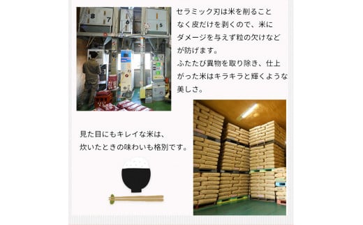 【定期便】令和6年産 新米 京都丹波米こしひかり6kg(2kg×3袋)×12回 計72kg 米 6kg 12ヶ月 白米 12回定期便 ※精米したてをお届け◆ ｜ 小分け 小袋 チャック付 米・食味鑑定士 厳選 コシヒカリ 京都丹波産 ※北海道・沖縄・離島への配送不可 ※2024年10月上旬以降順次発送予定