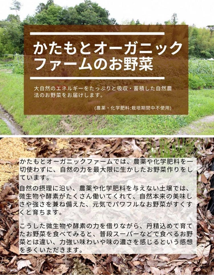 【期間限定】自然栽培のさつまいも 6kg 鳴門金時 京都 亀岡産 かたもとオーガニックファームよりお届け《サツマイモ 野菜 産地直送 国産 スイーツ》 ※2024年11月上旬〜2025年1月下旬頃に順次発送予定 ※離島への配送不可