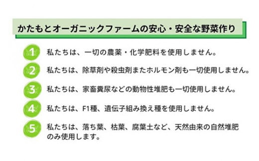 【6回定期便】京都府・亀岡産 自然農法＆農薬を使わずに育てた体も心も喜ぶ、かたもとオーガニックファームの季節のお野菜セット 毎回10〜20品目　※離島への発送不可