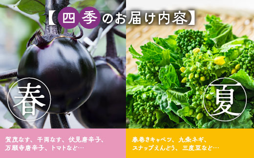 縲3蝗槫ョ壽悄萓ソ縲第流縺ョ莠ャ驥手除縲豈取怦縺雁ア翫¢繧ケ繝壹す繝」繝ォ繧ウ繝シ繧ケシ亥ィ3蝗橸シ峨企手除螳壽悄萓ソ 驥手除隧ー繧∝粋繧上○ 驥手除繧サ繝繝 莠ャ驥手除 譌ャ縺ョ驥手除 譁ー魄ョ驥手除縲