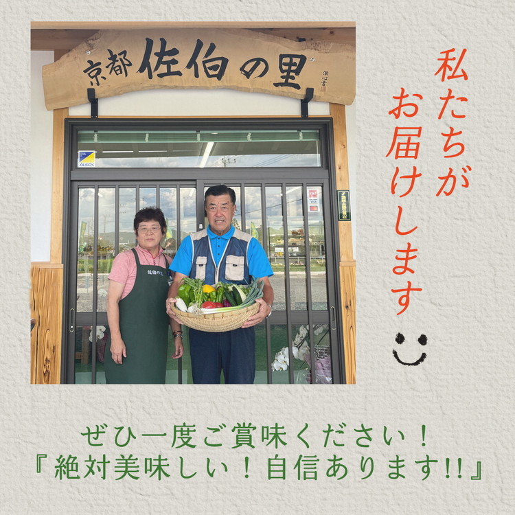 京都産 コシヒカリ2kg ＋ 旬の野菜セット 京都 佐伯の里 新鮮 野菜 7～10品 コシヒカリ2kg 米 京都丹波・亀岡産 季節の野菜 詰め合わせ 訳あり 生活応援 ※北海道・沖縄・離島への配送不可 ※2025年9月下旬頃より順次発送