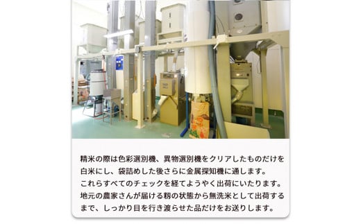 無洗米 10kg （2kg×5袋） 真空パック 京都丹波産 キヌヒカリ ※受注精米《米 白米 きぬひかり 10キロ 小分け ふるさと納税 無洗米 大嘗祭供納品種 亀岡そだち》※北海道・沖縄・その他離島への配送不可