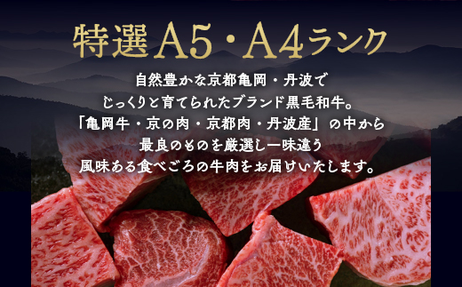 訳あり 京都産黒毛和牛(A4,A5) 赤身＆霜降り サイコロステーキ 冷蔵 700g（赤身350g+霜降り350g) 京の肉 ステーキ ひら山 厳選≪生活応援 牛肉 和牛 国産 丹波産 ふるさと納税ステーキ ふるさと納税牛肉 ステーキ ふるさと納税肉≫