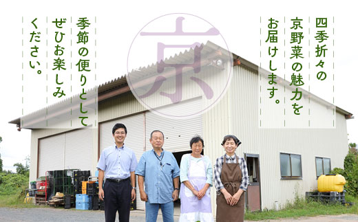 【6回定期便】旬の京野菜　毎月お届けレギュラーコース（全6回）＆『葉酸たまご』6個入り×1パック×3回分付《野菜定期便 野菜詰め合わせ 野菜セット 京野菜 旬の野菜 新鮮野菜 卵》