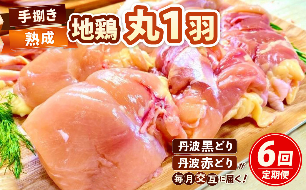 【訳あり 緊急支援】【6回定期便】地鶏 丹波黒どり・丹波赤どり毎月交互にお届け＜京都亀岡丹波山本＞≪生活応援 特別返礼品≫