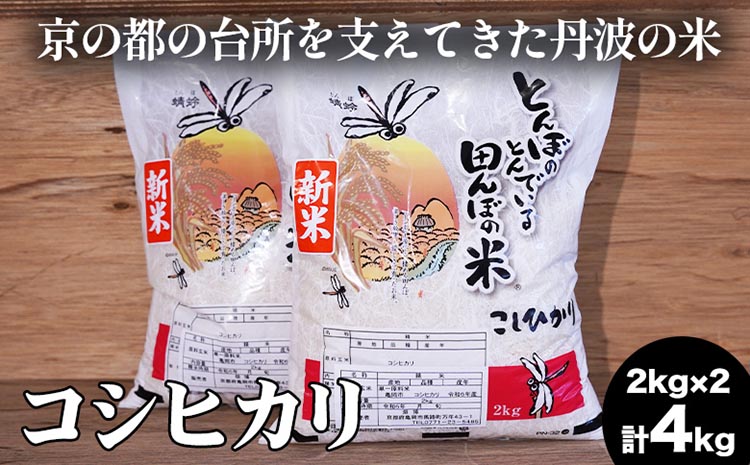 【数量限定】新米 令和6年産 コシヒカリ 2kg×2 計4kg 精米 コメ 送料無料 ごはん 白米 ご飯 国産 こしひかり