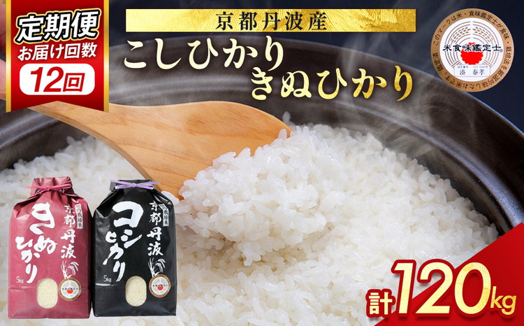 【9月より新米】【定期便】米 京都丹波米10kg (こしひかり5kg・きぬひかり5kg) ×12回 計120kg〇12ヶ月 12回定期便 コシヒカリ・キヌヒカリ 各5kg※精米したてをお届け 白米