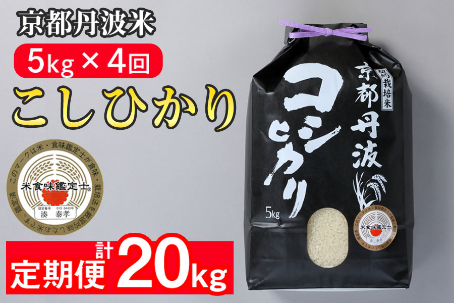 【9月より新米】【定期便】米 京都丹波米こしひかり5kg×4回 計20kg◇◆◇ 定期便 4回定期便 米 白米 5kg 4ヶ月 ※精米したてをお届け ｜ 米・食味鑑定士厳選 コシヒカリ 京都丹波産