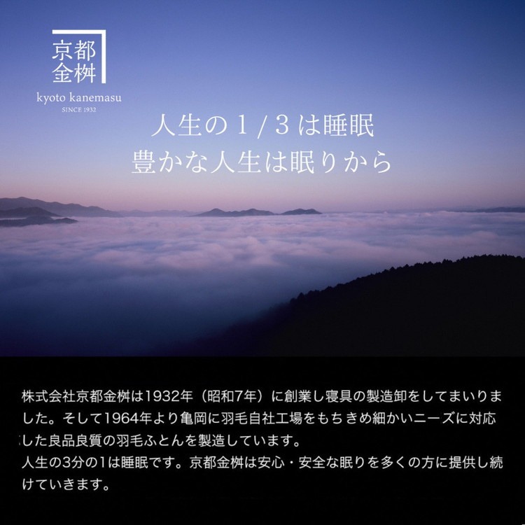 【2色展開】軽くて暖かい、ふかふか羽毛布団 本掛けタイプ 1枚お届け シングルサイズ【株式会社京都金桝 ハンガリー産ホワイトダウン93％使用 重量1.3kg DP380 2層キルト ミスト 京都亀岡産羽毛布団 ふるさと納税羽毛布団 人気羽毛布団 国産羽毛布団 日本製羽毛布団 亀岡産羽毛布団 掛け布団 掛布団 羽毛ふとん 新生活 職人仕立て羽毛布団 国内製造羽毛布団 国内産羽毛布団】