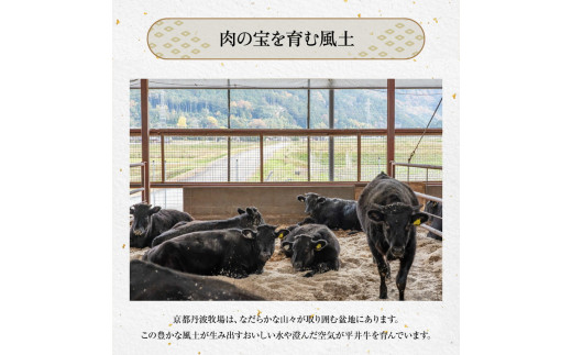 数々の誉れに輝く最高峰 黒毛和牛「平井牛一頭分」食べつくし 選定 体験 京都 丹波牧場 自家産≪ 数量限定 牛肉 牛 国産 冷凍 真空 すき焼き ステーキ しゃぶしゃぶ パーティ ふるさと納税 牛肉≫※離島への配送不可