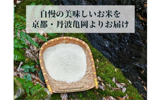 【令和6年産先行予約】米 定期便 10kg×2ヶ月 20kg コシヒカリ 佐伯の里の源流米 希少 農家直送 令和6年産 新米 白米 10キロ 2回 低農薬米 減農薬米 京都丹波産 こしひかり 家計応援 生活応援 ※北海道・沖縄・離島配送不可 ※2024年10月以降発送予定