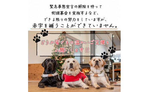 盲導犬 訓練 支援寄附 記念品［タオル・エコバッグ など盲導犬協会オリジナルグッズ］「行きたい場所に安心していける社会に…」補助犬（15,000円）