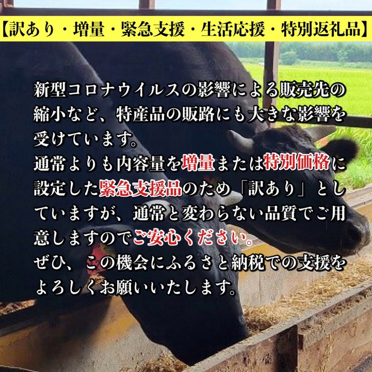 訳あり 亀岡牛 切り落とし こま切れ 2kg 京都いづつ屋 厳選≪緊急支援 和牛 牛肉 冷凍≫ ふるさと納税牛肉