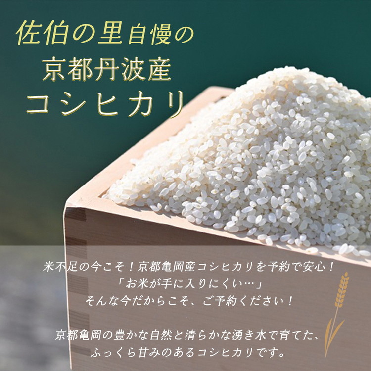 京都産 コシヒカリ2kg ＋ 旬の野菜セット 京都 佐伯の里 新鮮 野菜 7～10品 コシヒカリ2kg 米 京都丹波・亀岡産 季節の野菜 詰め合わせ 訳あり 生活応援 ※北海道・沖縄・離島への配送不可 ※2025年9月下旬頃より順次発送