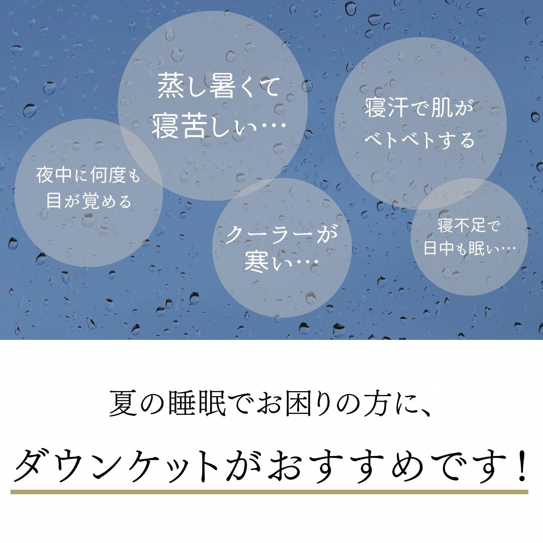 ＜京都金桝＞ 羽毛 肌ふとん シングル ハンガリーホワイトグースダウン93％ 400g【カラー3色：ピンク／ブルー／アイボリー】DP380 京都亀岡産 日本製 ｜ 夏 夏用 肌掛け ダウンケット 羽毛布団 羽毛ふとん 掛け布団 掛布団 軽量 寝具 新生活 ｜ Eプラス