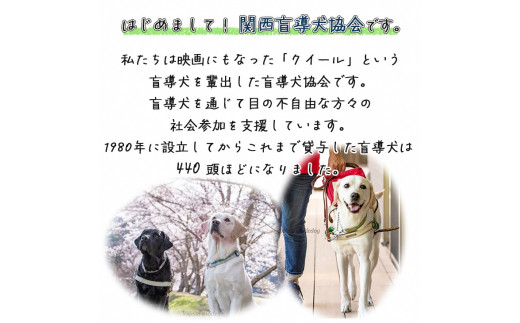 盲導犬 訓練 支援寄附 記念品［タオル・エコバッグ など盲導犬協会オリジナルグッズ］「行きたい場所に安心していける社会に…」補助犬（15,000円）