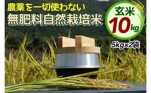 米 令和6年産 自然栽培米 にこまる ＜農薬を一切使わない無肥料栽培＞ 玄米 10kg（5kg×2袋） 《新米 京都丹波産 無農薬米栽培向き 厳選品種》