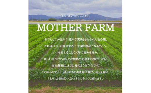 《京つけものもり》漬物 業務用 千枚漬 1kg・赤かぶら千枚 0.5kg 計1.5kg（500g×3袋） ※2024年11月上旬～2025年2月中旬頃に順次発送予定