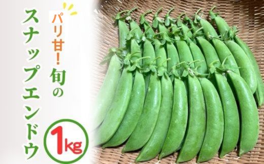 ＜先行予約＞パリ甘！旬のスナップエンドウ1kg 京都 亀岡産 旬 おつまみ 取り寄せ 人気 ※北海道・沖縄・離島への配送不可 ※2026年5月中旬～6月中旬頃に順次発送