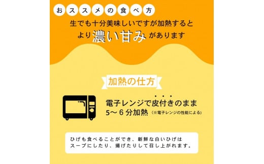 朝採れ とうもろこし 5kg スイートコーン ドルチェドリーム 甘い 早朝収穫〈アグリにのうみ〉京都 亀岡 農家直送 2024年産 ※北海道・沖縄・離島への配送不可 ※2024年7月上旬～7月下旬頃順次発送予定