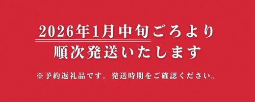 高級 京いちご 完熟 朝採れ 1箱 約450g 小島農園 紅ほっぺ おいCベリー スターナイトから厳選してお届け≪期間限定 苺 イチゴ 旬≫※離島への配送不可 ※2026年1月中旬～5月上旬頃に順次発送予定