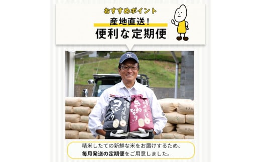 【定期便】令和6年産 新米 京都丹波米こしひかり 6kg(2kg×3袋)× 6回 計36kg◆ 米 6kg 6ヶ月 白米 6回定期便 ※精米したてをお届け 米・食味鑑定士厳選 コシヒカリ 京都丹波産 ※北海道・沖縄・離島への配送不可 ※2024年10月上旬以降順次発送予定