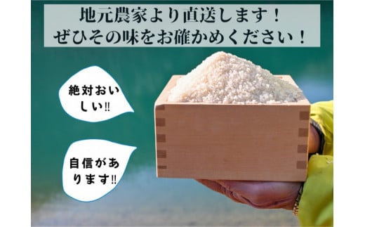 【令和6年産先行予約】米 定期便 10kg×2ヶ月 20kg コシヒカリ 佐伯の里の源流米 希少 農家直送 令和6年産 新米 白米 10キロ 2回 低農薬米 減農薬米 京都丹波産 こしひかり 家計応援 生活応援 ※北海道・沖縄・離島配送不可 ※2024年10月以降発送予定