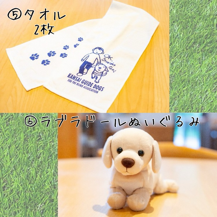 【返礼品相当額で盲導犬の育成を支援】支援額30,000円(記念品あり)エコバッグなど盲導犬協会オリジナルグッズ進呈[行きたい場所に安心していける社会に…]