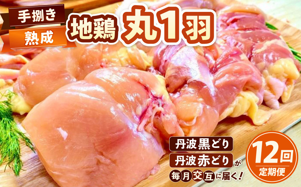 【訳あり 緊急支援】【12回定期便】地鶏 丹波黒どり・丹波赤どり毎月交互にお届け＜京都亀岡丹波山本＞≪緊急支援 生活応援 特別返礼品 不揃い≫
