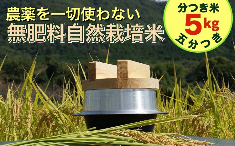 米 令和6年産【五分つき】自然栽培米 にこまる ＜農薬を一切使わない無肥料栽培＞ 分つき米5kg・精米したて 《新米 京都丹波産 無農薬米栽培向き 厳選品種》 ※2024年10月中旬頃より順次発送予定