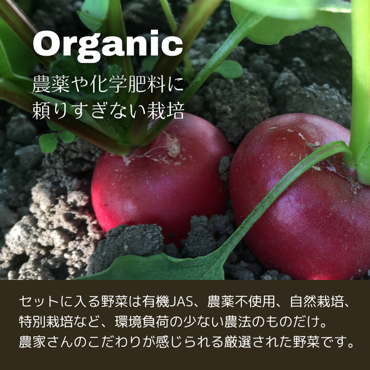 【10回定期便】＜３６９商店＞京都丹波産旬の野菜セット　※全て栽培期間中農薬・化学肥料不使用 ※北海道・沖縄・離島への配送不可