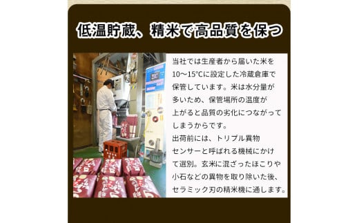 【定期便】令和6年産 新米 訳あり 京都丹波米 きぬひかり5kg×4回 計20kg◆4回定期便 米 白米 5kg 4ヶ月※精米したてをお届け 米・食味鑑定士厳選 キヌヒカリ 京都丹波産 ※北海道・沖縄・離島への配送不可 ※2024年10月上旬以降順次発送予定