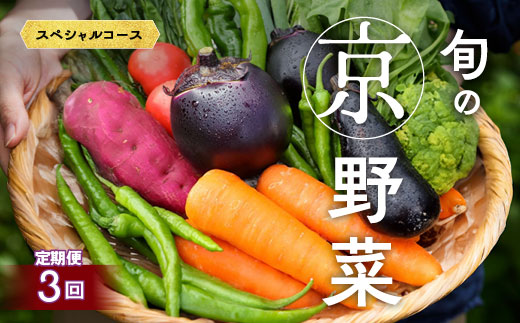 【3回定期便】旬の京野菜　毎月お届けスペシャルコース（全3回）《野菜定期便 野菜詰め合わせ 野菜セット 京野菜 旬の野菜 新鮮野菜 有機野菜 減農薬》