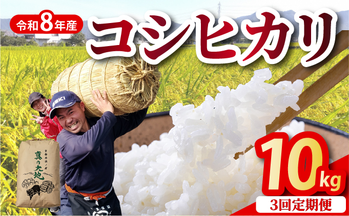 【定期3回】【令和8年産 新米】コシヒカリ 10kg×3回 京都丹波産 農家直送 産地直送 新米予約 ※8月中旬ごろより新米をお届け！
