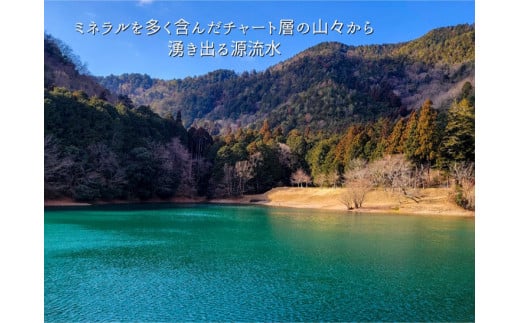 【令和6年産先行予約】米 定期便 10kg×2ヶ月 20kg コシヒカリ 佐伯の里の源流米 希少 農家直送 令和6年産 新米 白米 10キロ 2回 低農薬米 減農薬米 京都丹波産 こしひかり 家計応援 生活応援 ※北海道・沖縄・離島配送不可 ※2024年10月以降発送予定