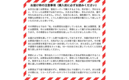 【12回定期便】かたもとオーガニックファームの農業研修生が無農薬・自然栽培で育てたお野菜セット 8〜10品目 ｜ 産地直送 朝採れ 新鮮 京野菜 京都府 亀岡産